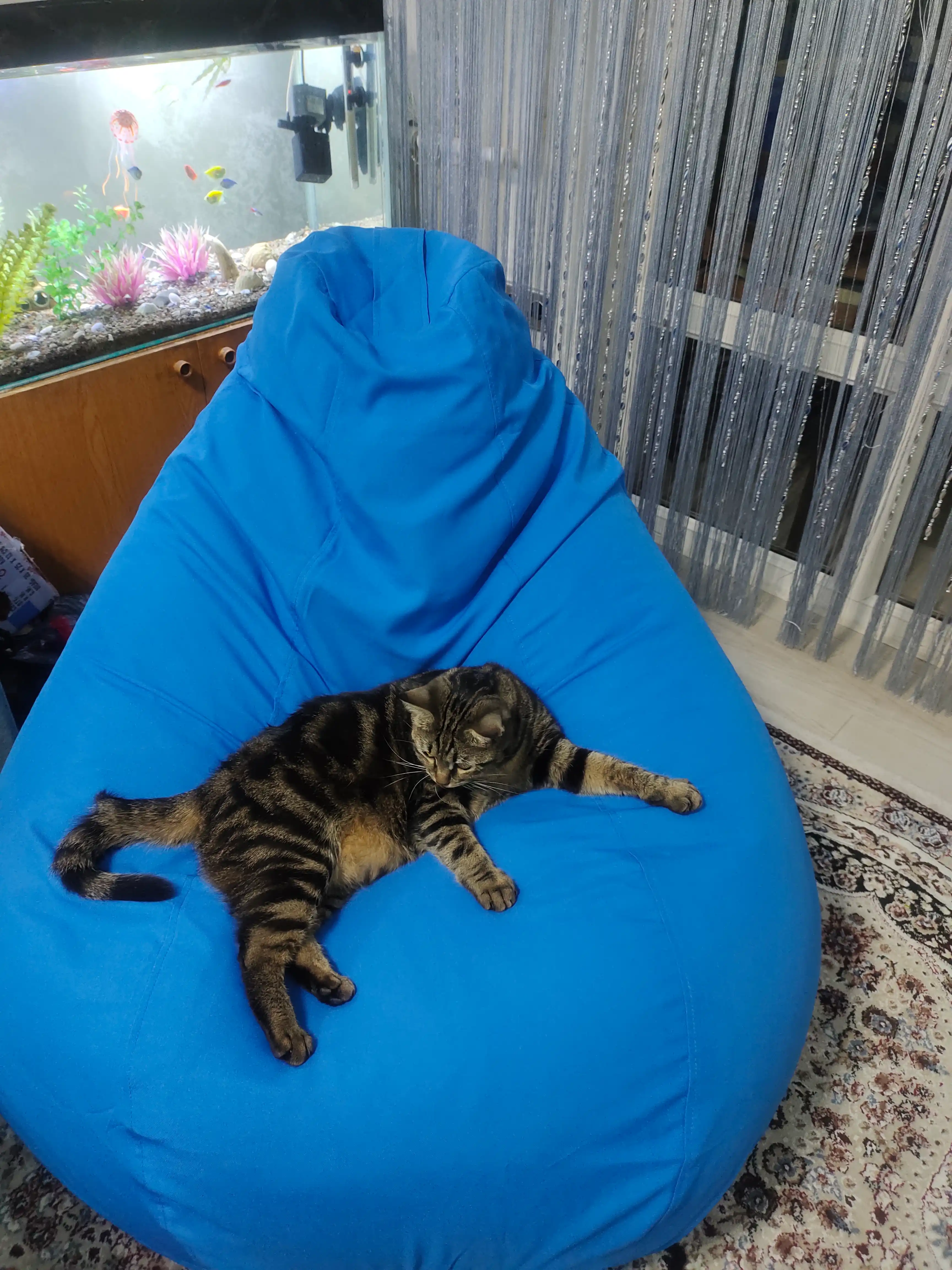 Katta o'lchamli kreslo qopchasi binbeg, XXXXL, gabardin materialidan tayyorlangan