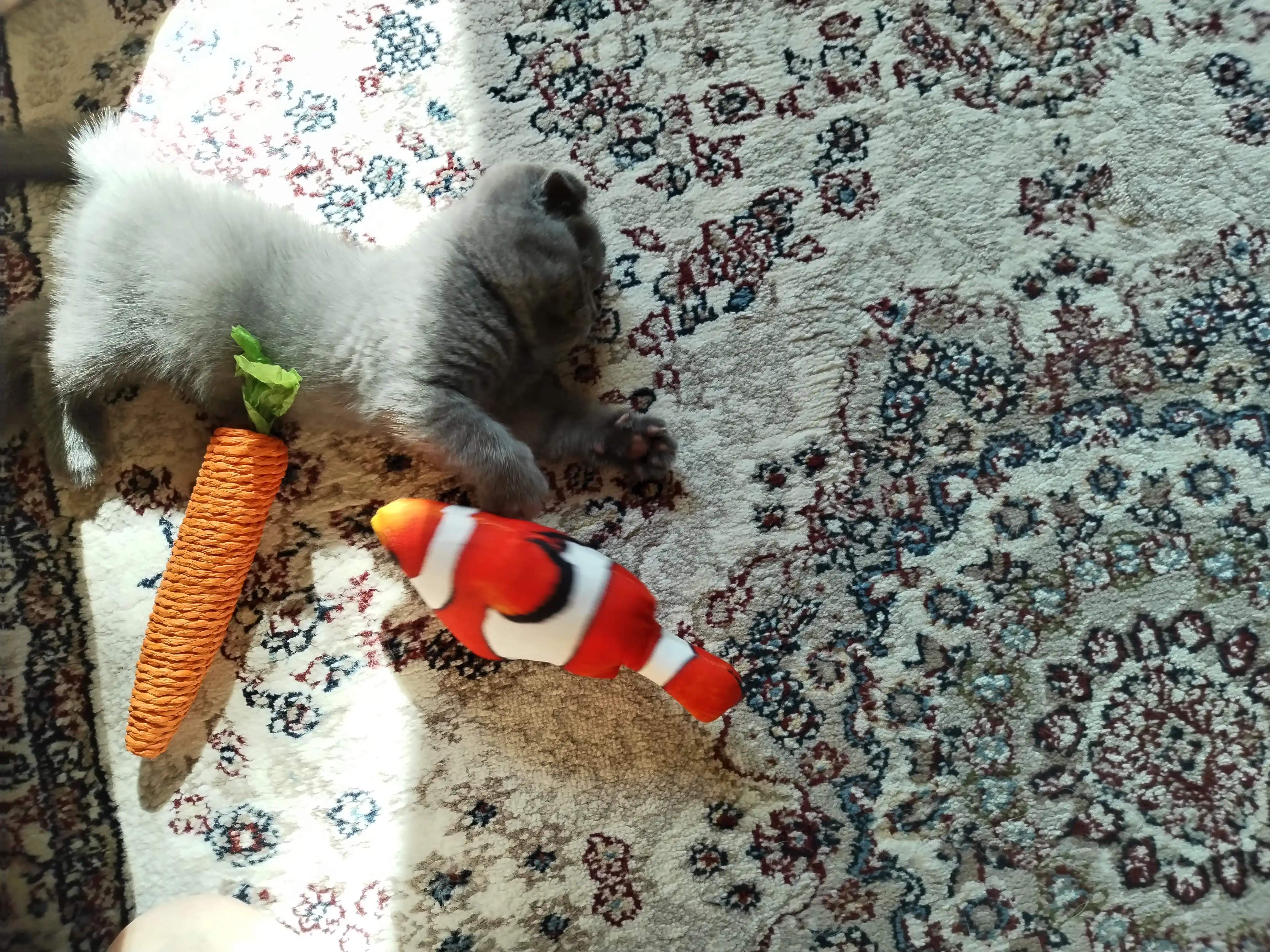 Игрушка для кошек когтеточка морковка