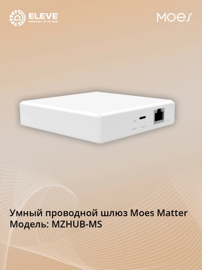 Умный проводной шлюз Moes Matter