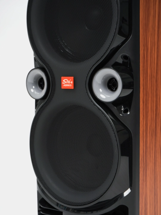Portativ simsiz kolonka NDR 1100 va JQS 9033, RGB yoritgichli, karaoke, Bluetooth
