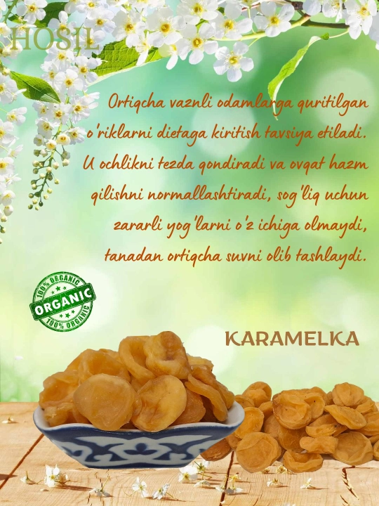 Qantak o'rik turshagi, danaksiz, 250 g