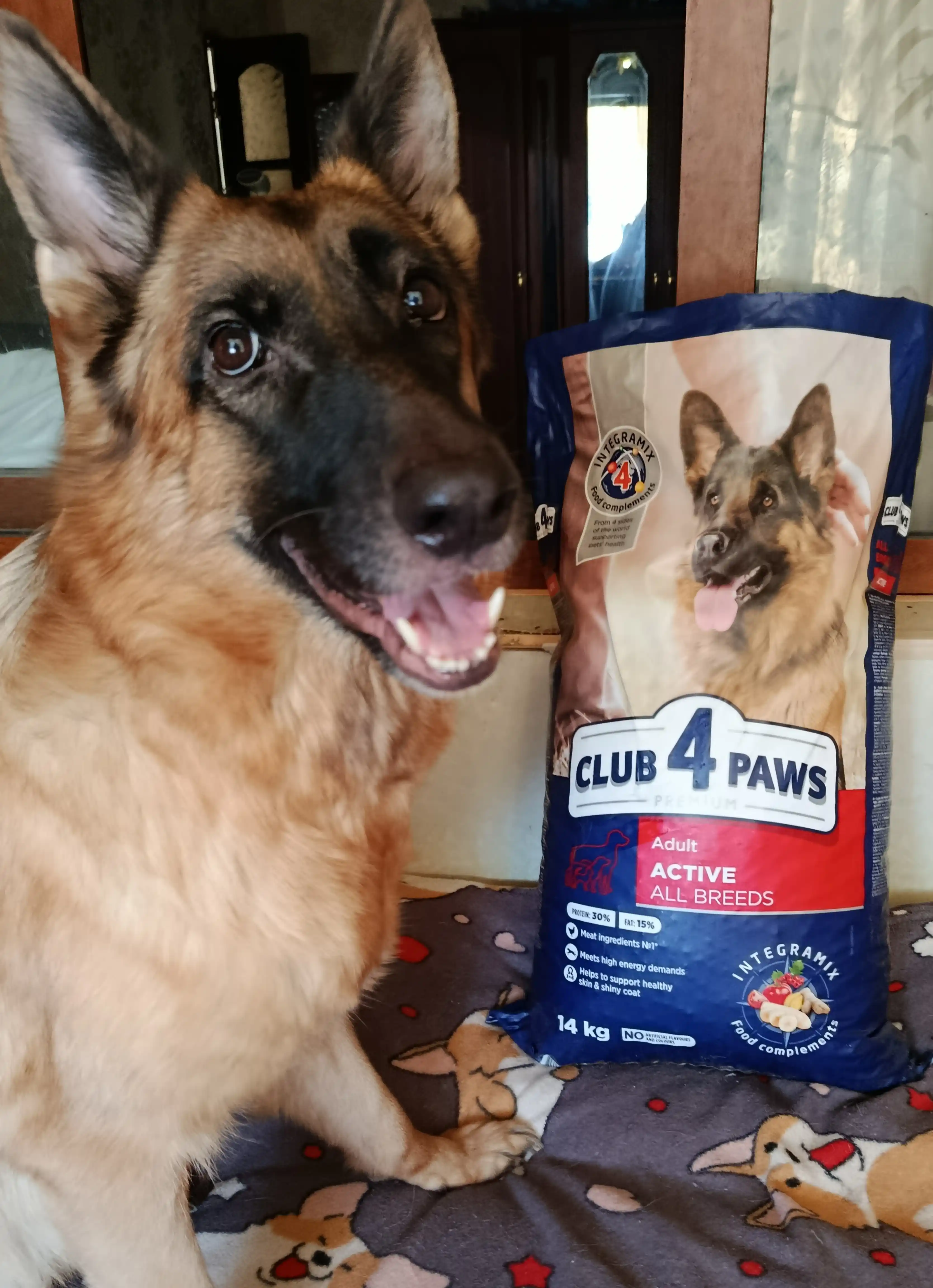 Club 4 Paws сухой корм для активных собак всех пород, 14 кг