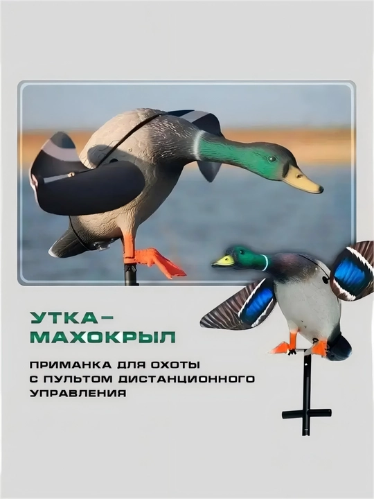 Реалистичное чучело для охоты на уток — роторная приманка для кряквы