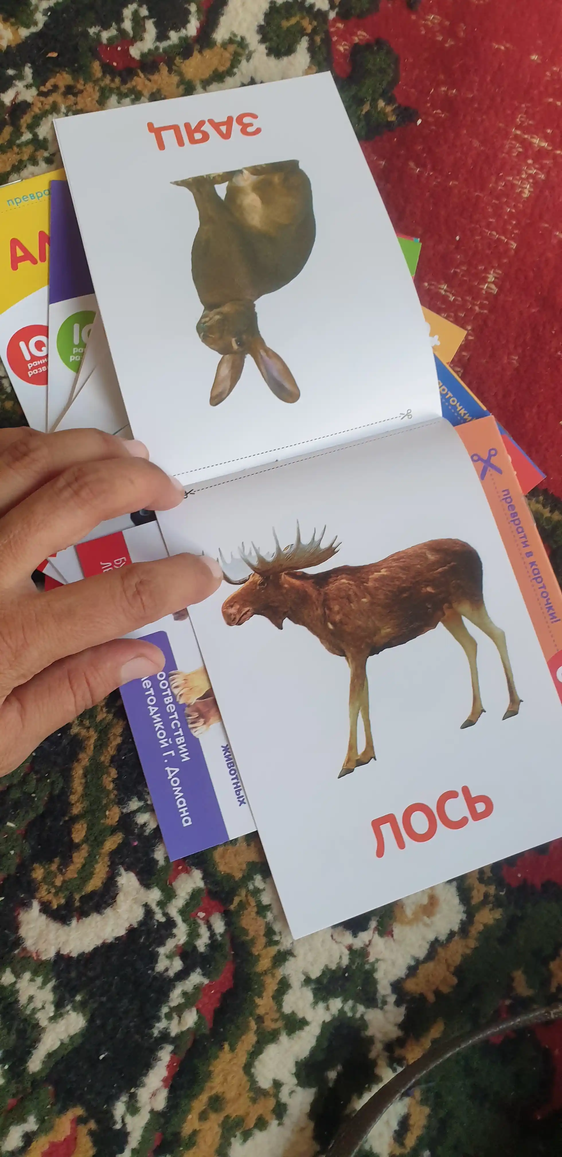 Набор из 8 развивающих и обучающих IQ карточек по методике Домана / Карточки Домана