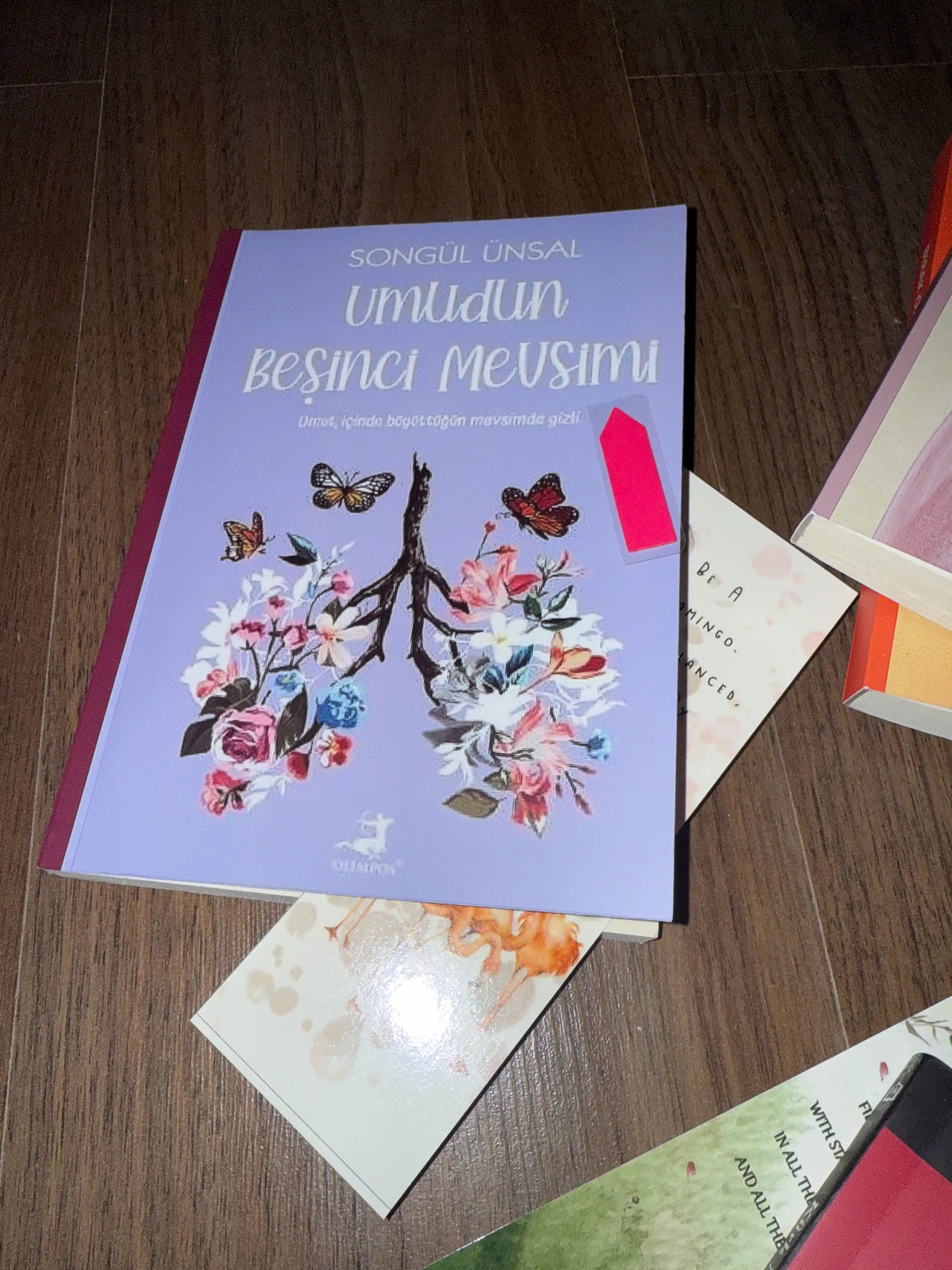 Umudun besinci mevsimi. Songul Unsal (Книга на турецком языке)