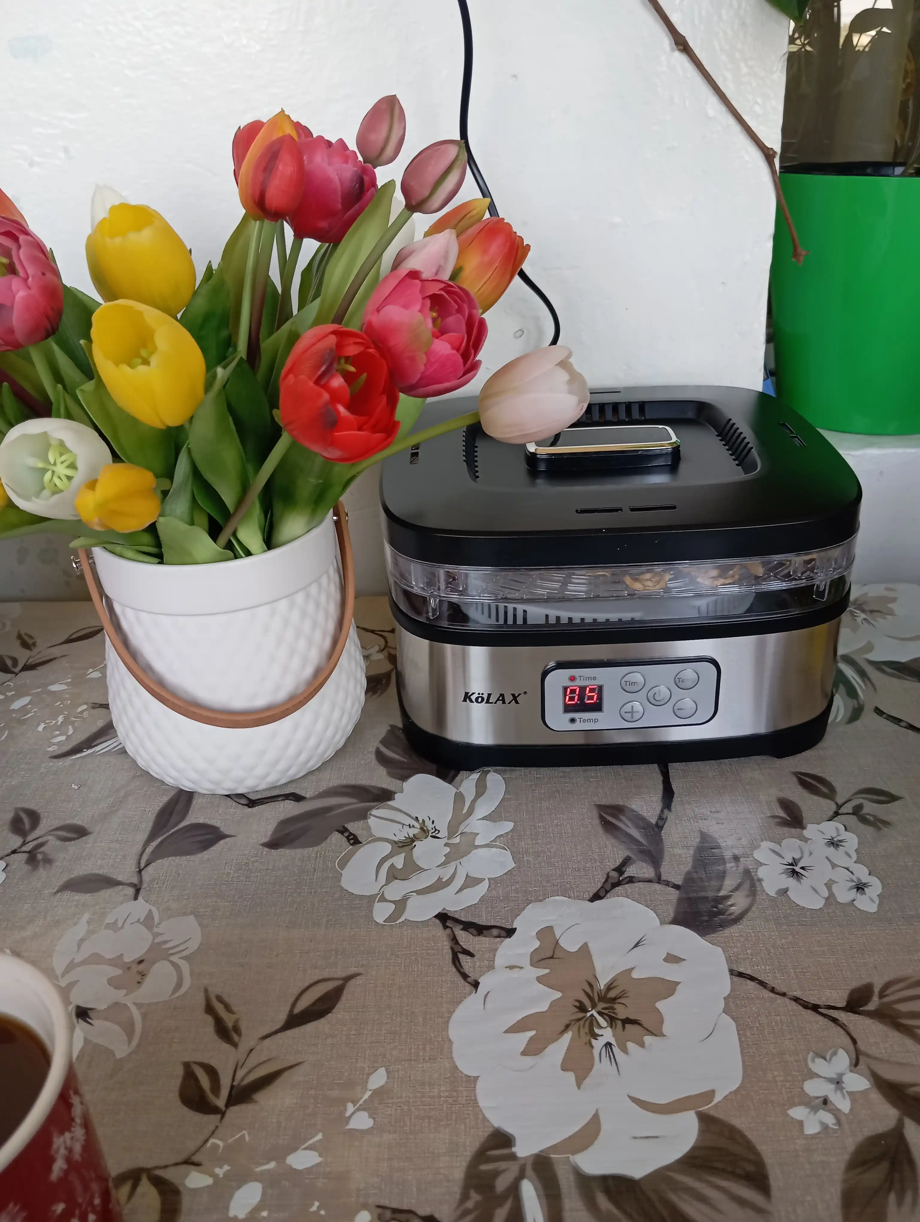 Sabzavot va mevalar uchun quritgich, Kolax, 5 ta taglik, haroratni sozlash, taymer
