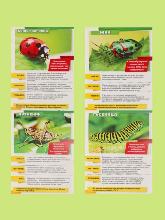Bolalar uchun mini-entsiklopediyalar "Hayvonlar dunyosi", 8 dona, har biri 20 bet