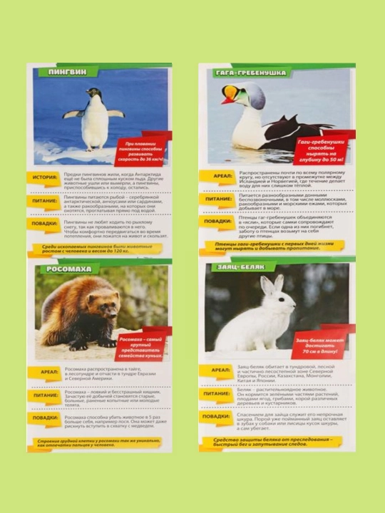 Bolalar uchun mini-entsiklopediyalar "Hayvonlar dunyosi", 8 dona, har biri 20 bet