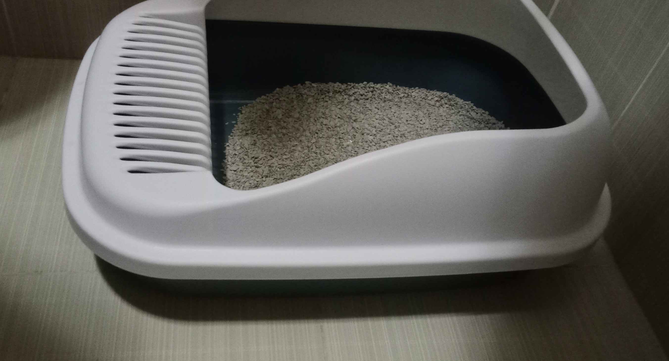 Mulatto anal porno Yalangoch yosh kokraklar