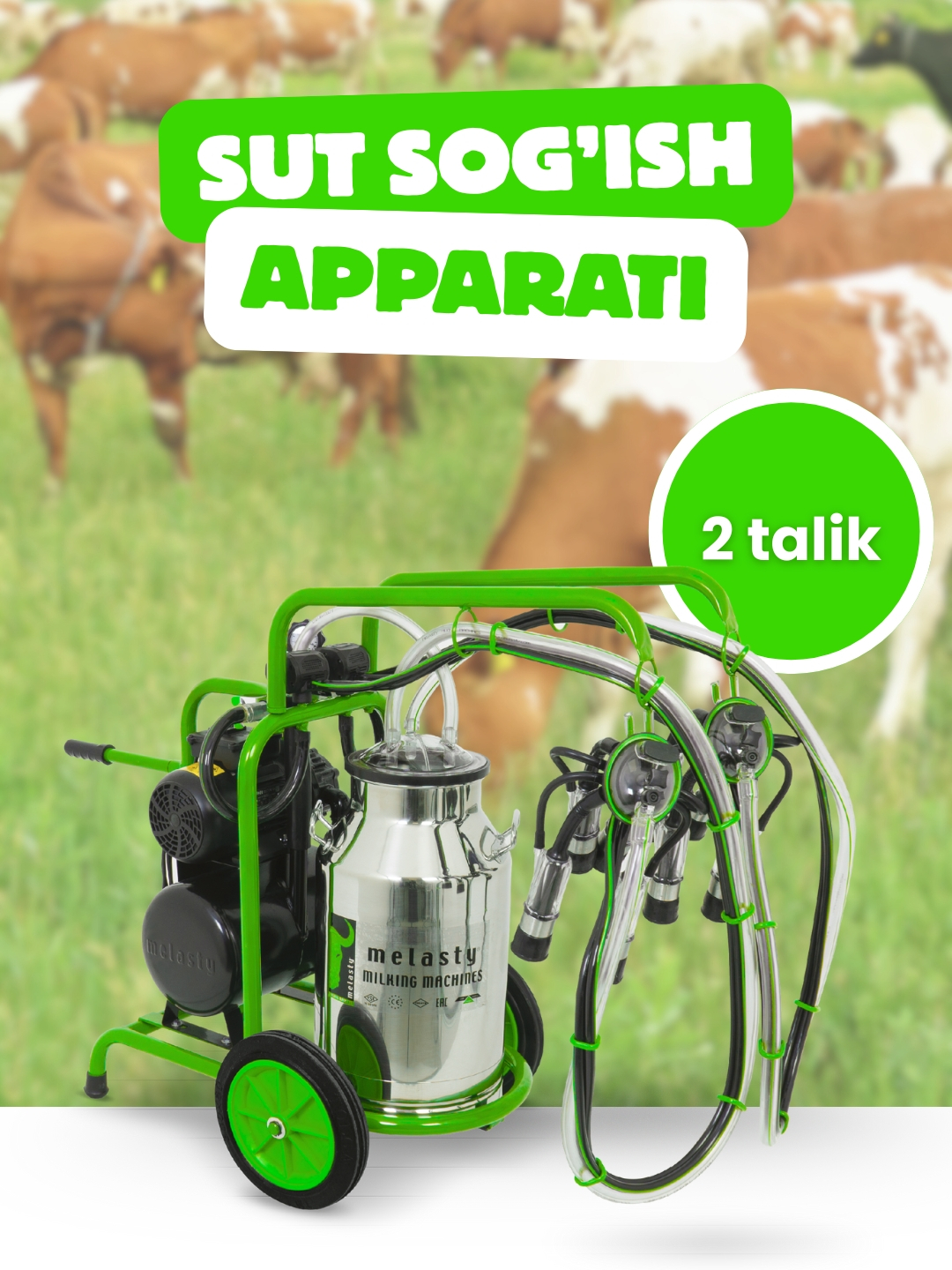 Rus havaskor seks qaynona kuyov bilan