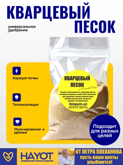 Kvarts qum Pyotr Plexanovdan - 