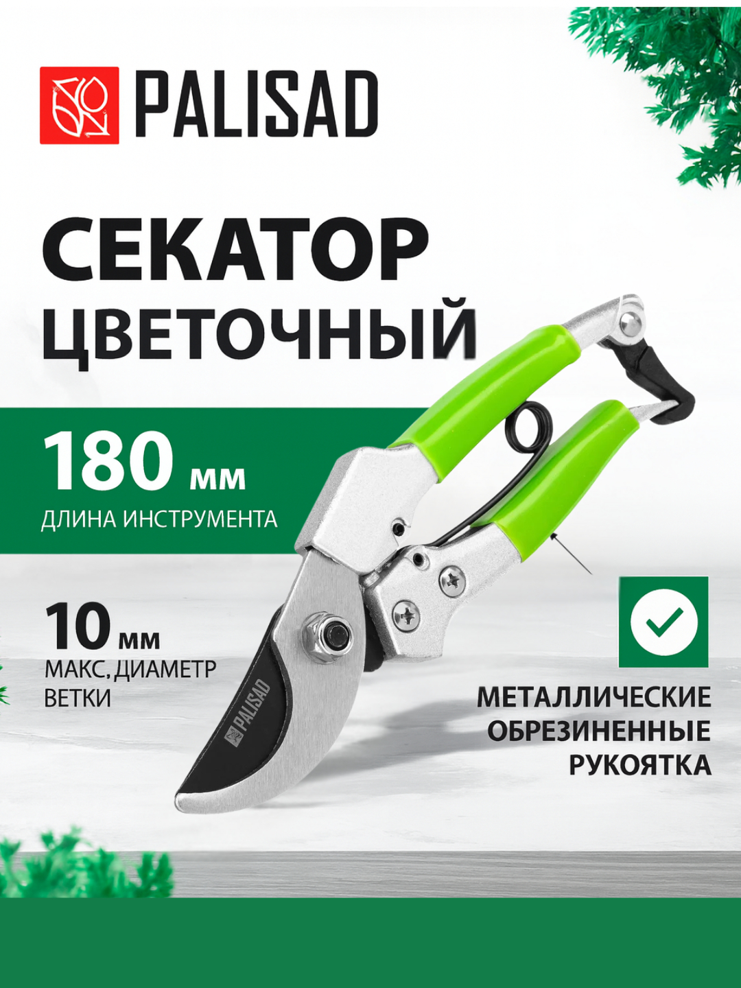 Kim mumkin pornografik tasvirlar Chiroyli transseksuallar video