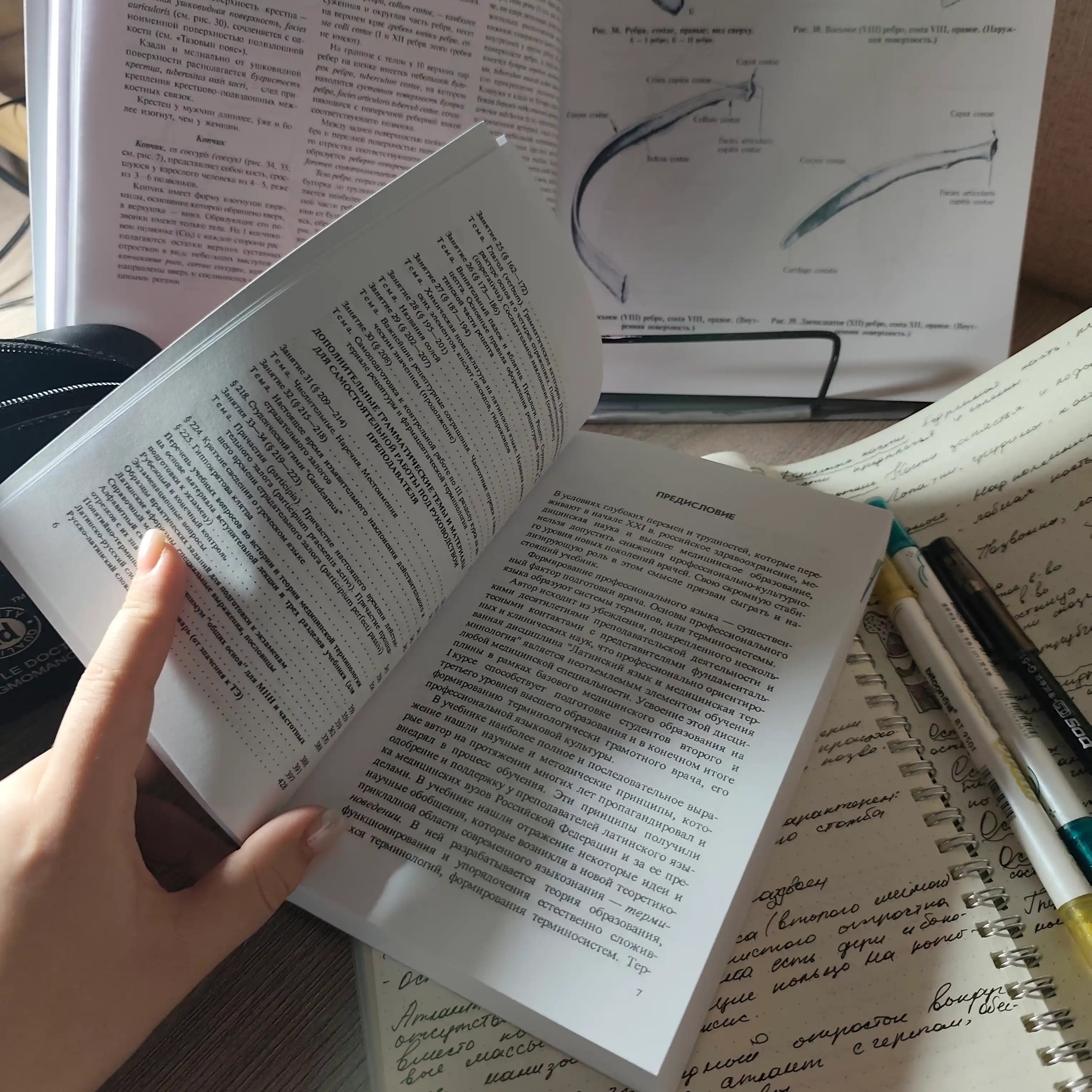 Latinskiy yazyk i osnovy meditsinskoy terminologii, M.N.Cheryavskiy
