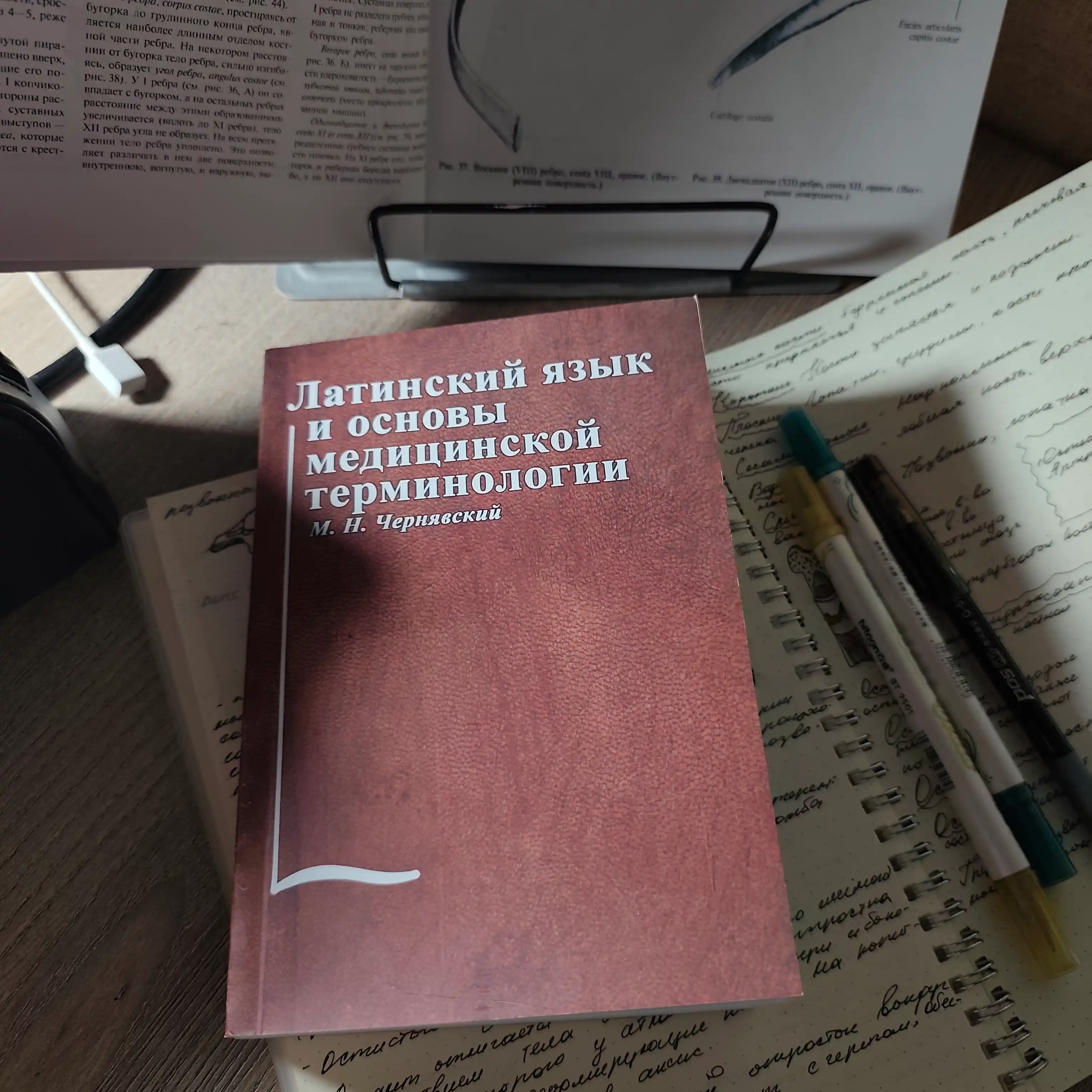 Latinskiy yazyk i osnovy meditsinskoy terminologii, M.N.Cheryavskiy