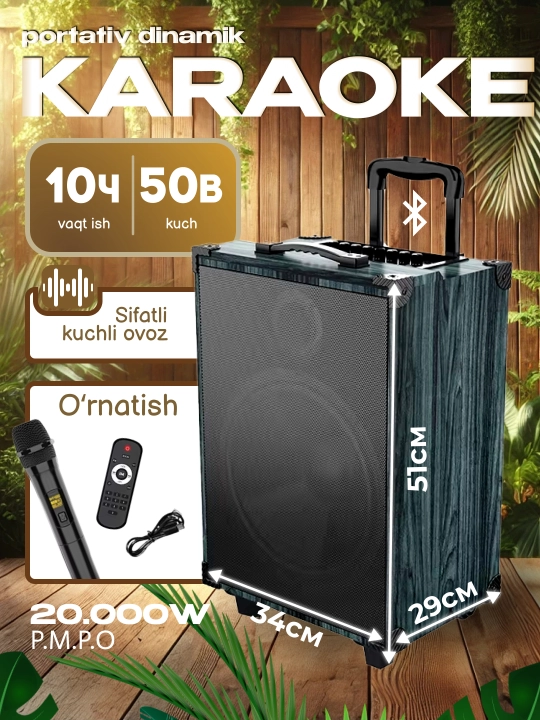 Portativ kalonkalar karaoke, Bluetooth kalonka mikrafon, masofadan boshqarish pulti