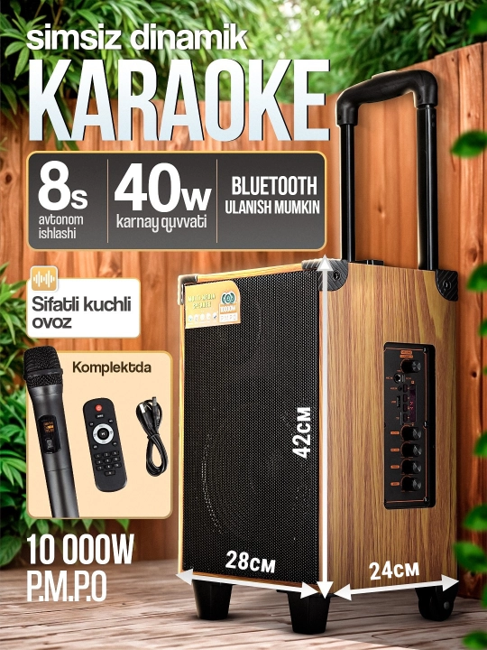 Portativ kalonkalar karaoke, Bluetooth kalonka mikrafon, masofadan boshqarish pulti