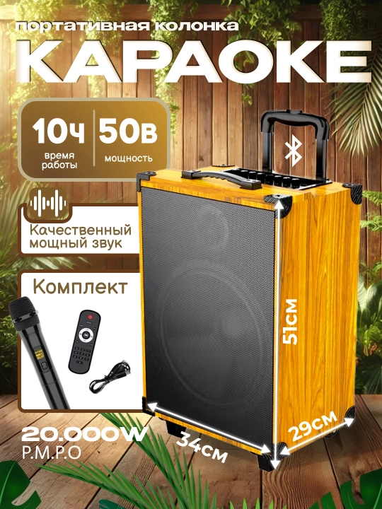 Колонка караоке, портативная беспроводная колонка с микрофоном Bluetooth, с пультом - 