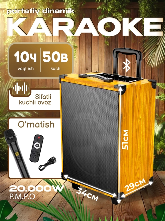Portativ kalonkalar karaoke, Bluetooth kalonka mikrafon, masofadan boshqarish pulti
