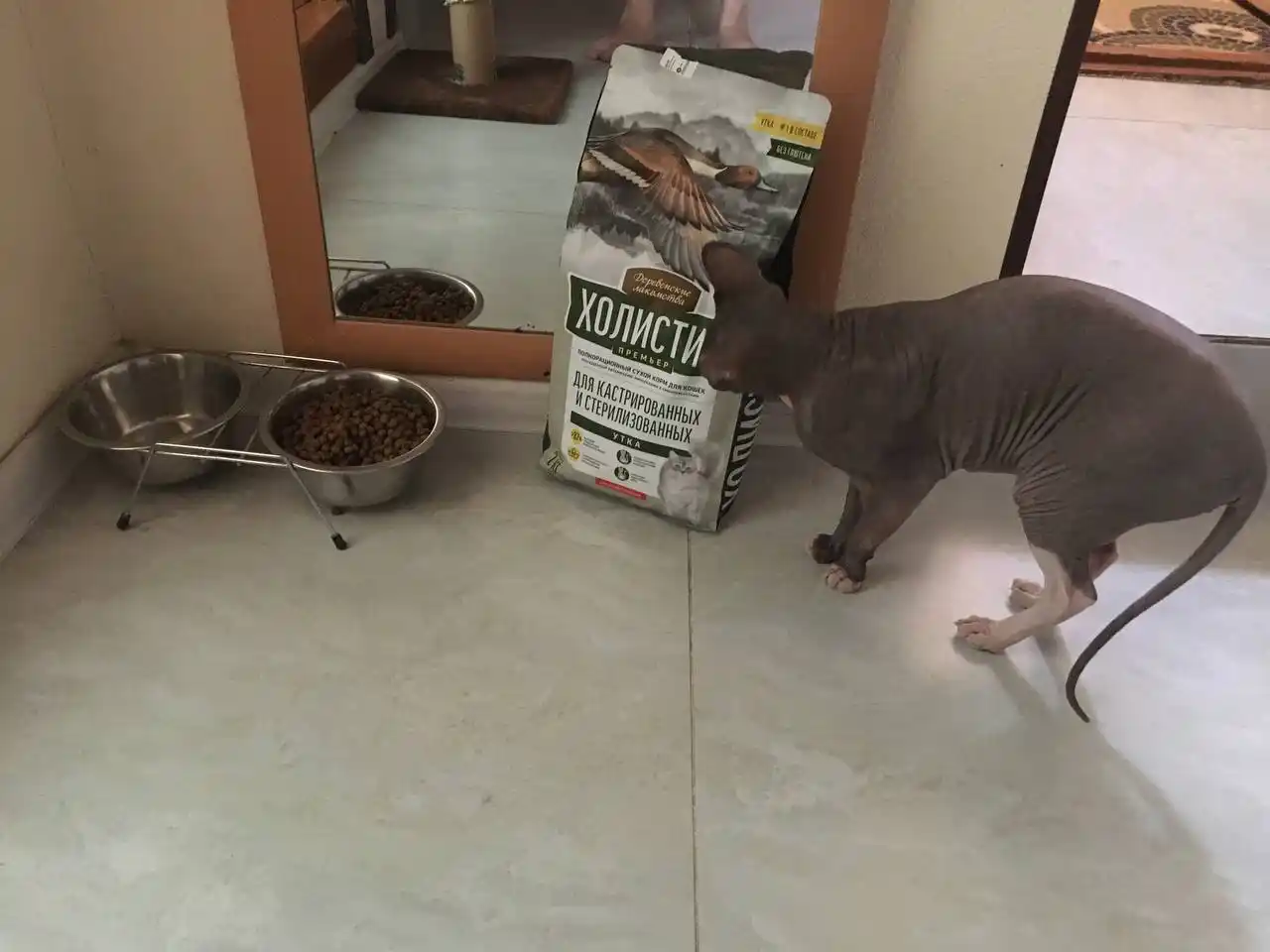 Корм для кошек Холистик Simple Pets, 400 г и 2 кг, лосось, курица