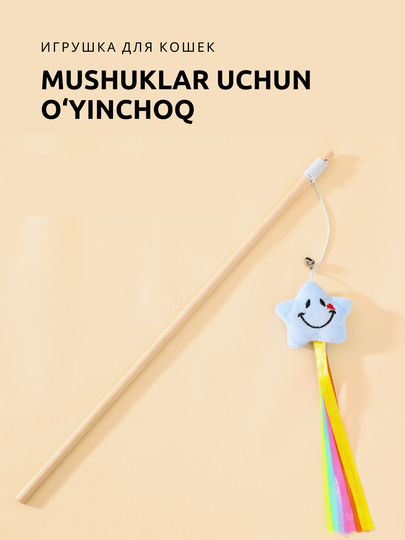 hammomda mast ayollar