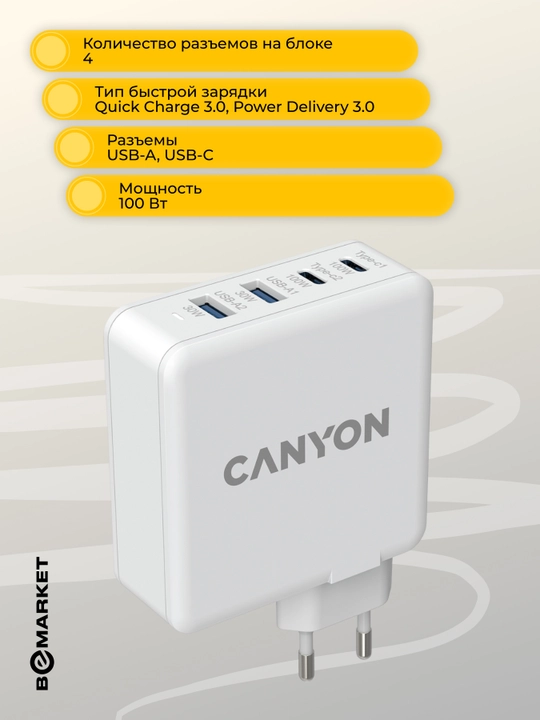 Сетевое зарядное устройство Canyon CNE-CHA100W