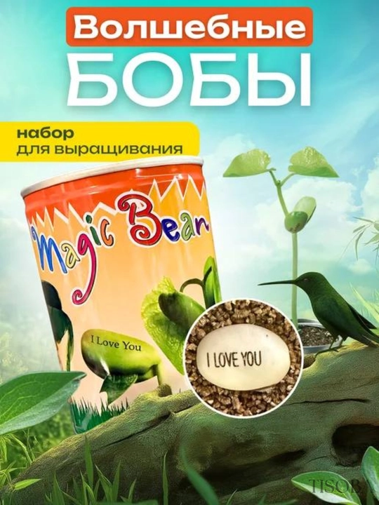 «I love you» yozuvi bo'lgan sehrli loviya o'ziga xos va ta'sirli sovg'adir - 