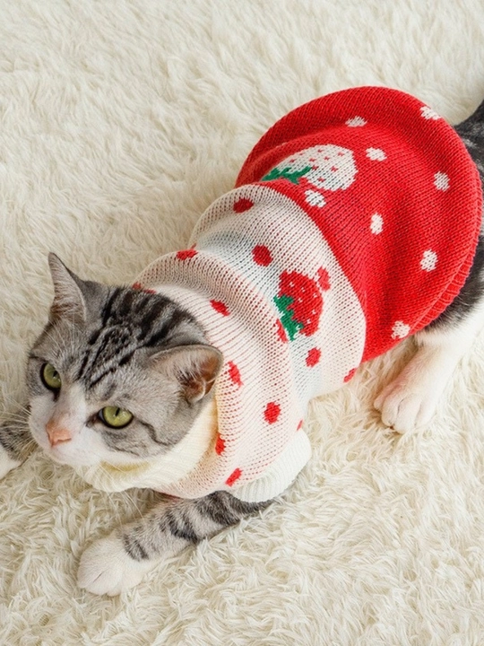 Свитер для собак и кошек