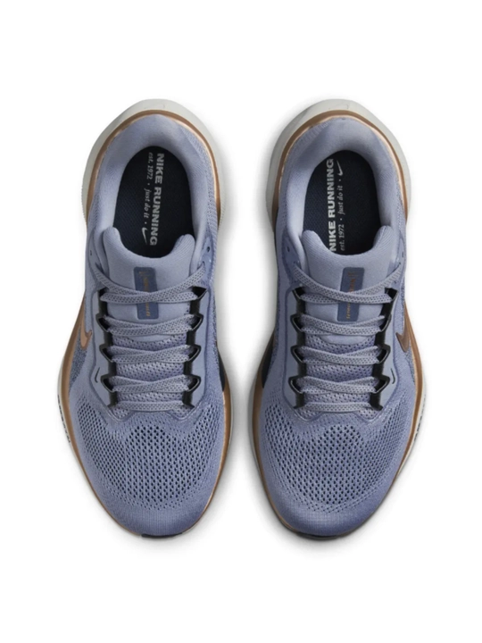 Кроссовки Nike Air Zoom