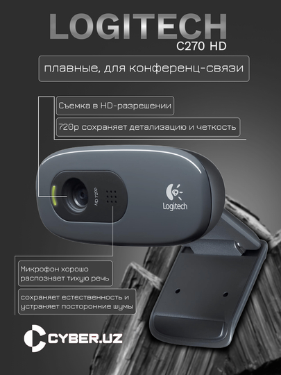 Bogdanov Maksim, Moskva Rassomlar uyushmasi azosi