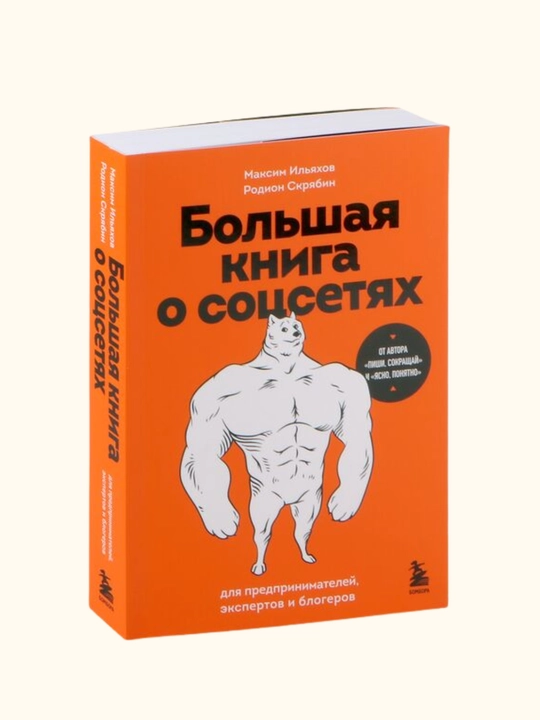 Большая книга о соцсетях для предпринимателей, экспертов и блогеров - 