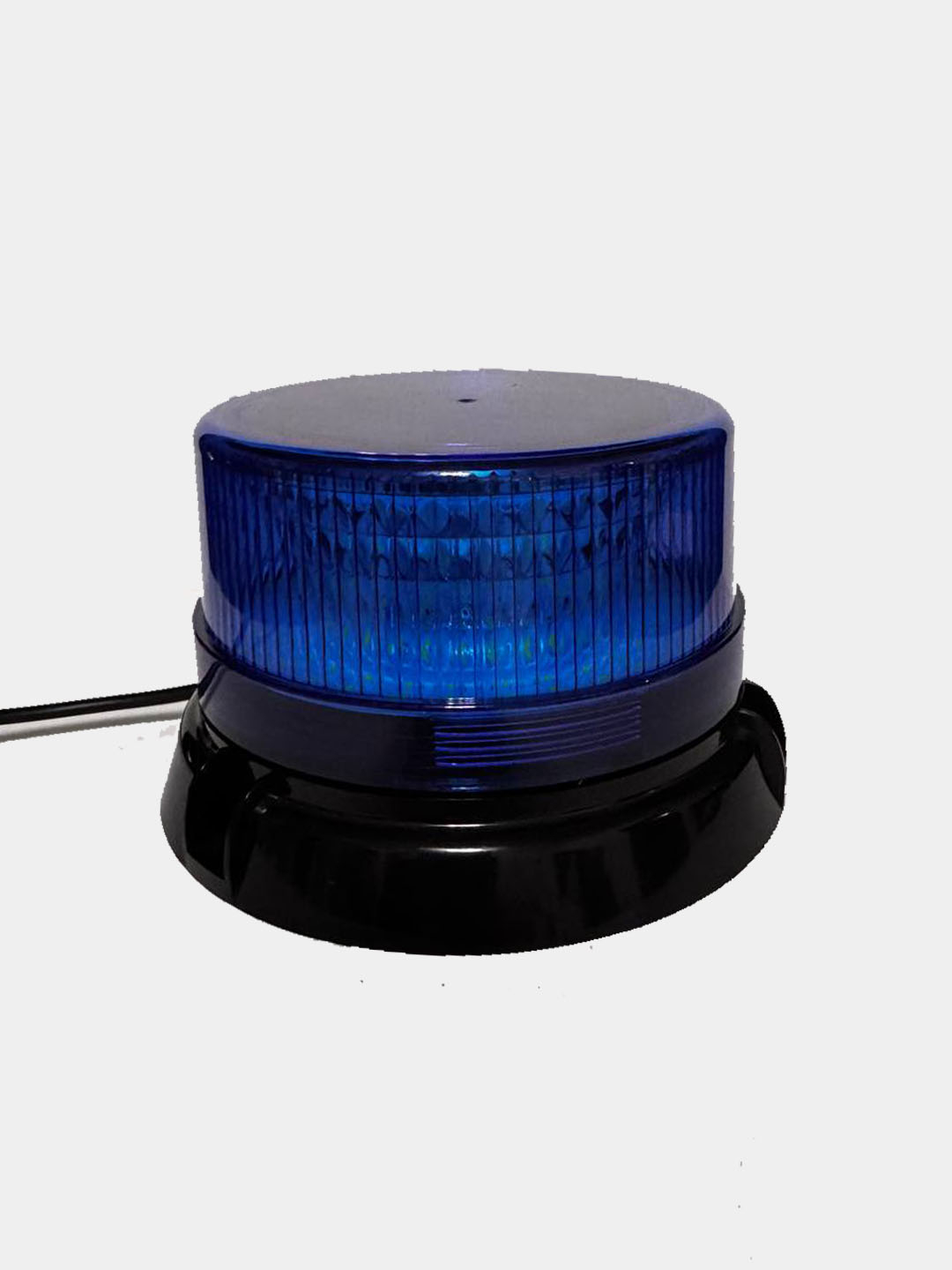 Boshoqlari bilan mushuk ichida