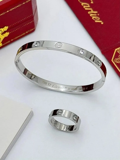 Браслет "Stainless Steel", женская бижутерия, в стиле cartier — GODDES-GG75-СЕРМЕТ-17