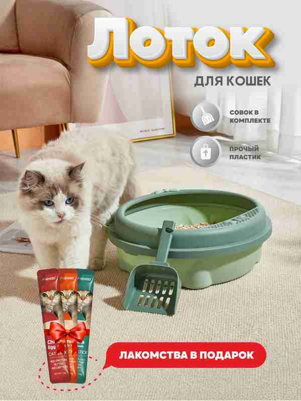 Guruh seks qoramagiz bilyard stol video porno jinsiy aloqa Toliq ayollarning dumbalari