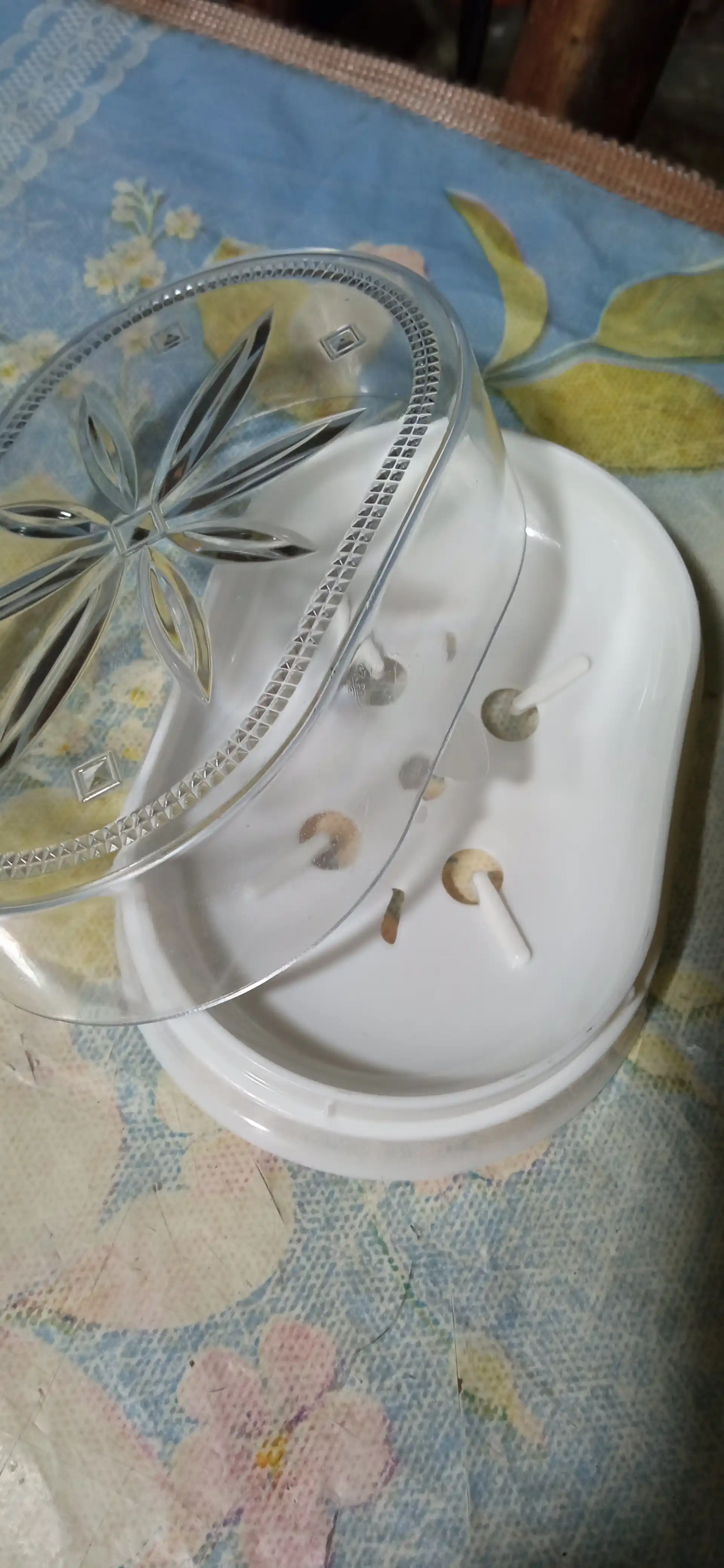 Plastik sovun idishi