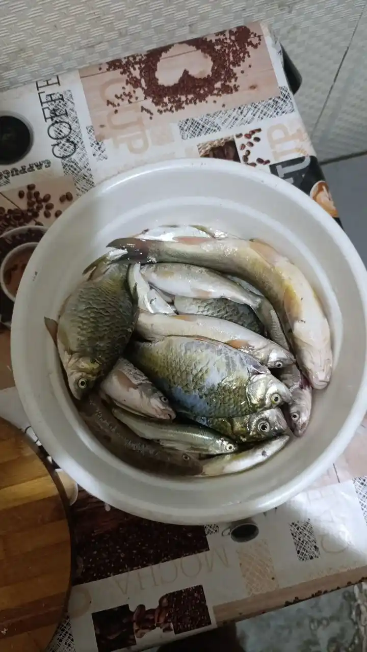 Бойлы силиконовые с натуральными вкусами от компании ULTIMA