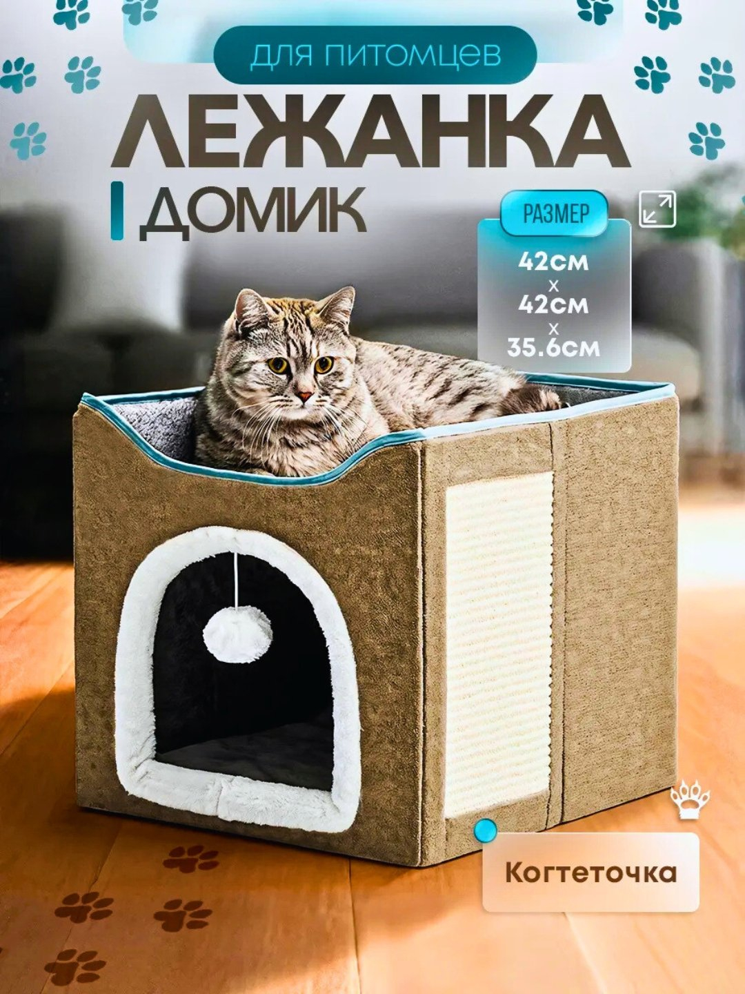 Sviterdagi fotosuratda jinsiy aloqa Kichik Lup surati