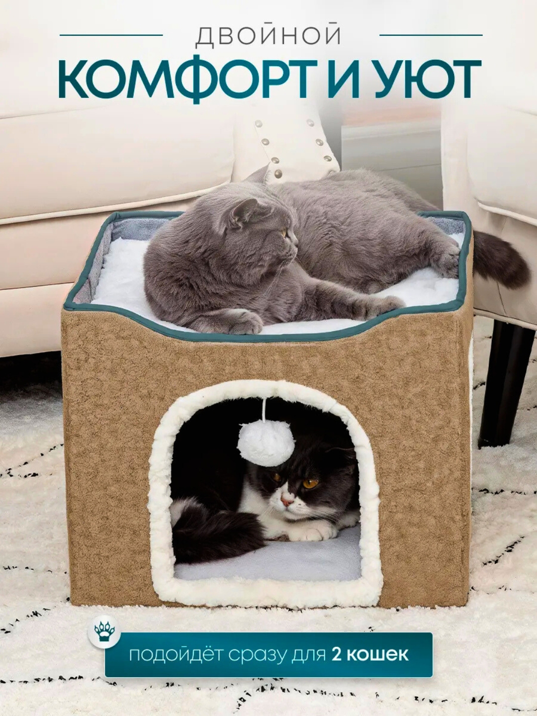 Faqat portlash yaqin fotosuratlar Ozarbayjon veb-kamera porno