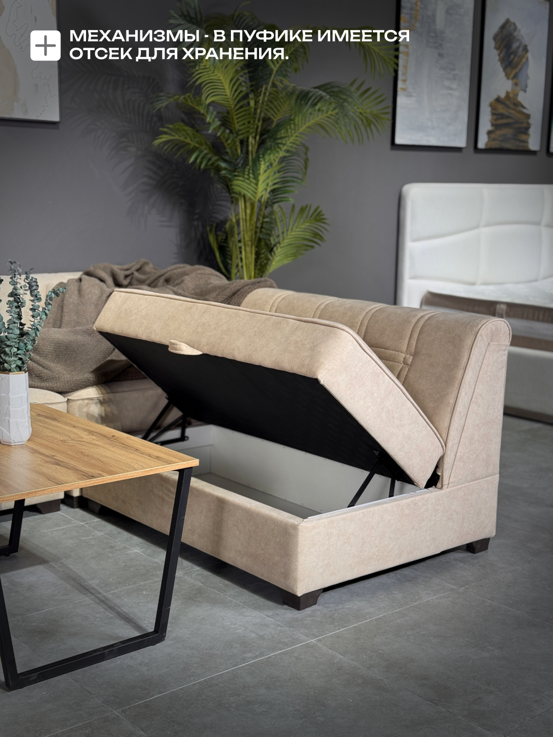 Divan Millenium Mini Woodline