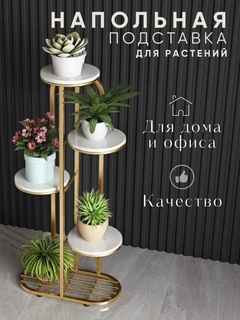 Золотой