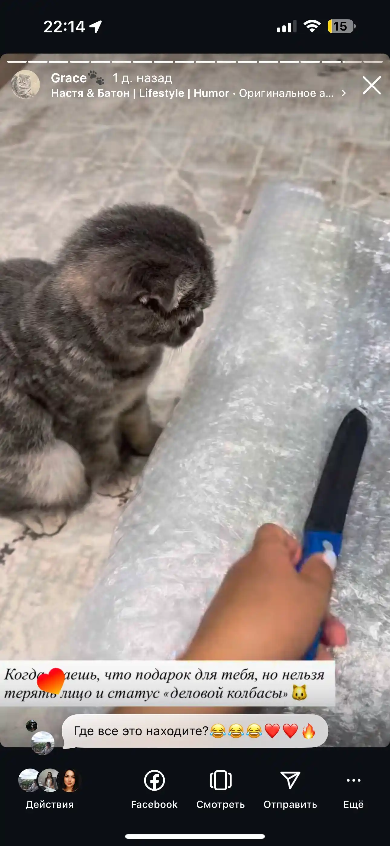 Tirnash ustuni KinderCat Saturn + koptok mushuklar uchun