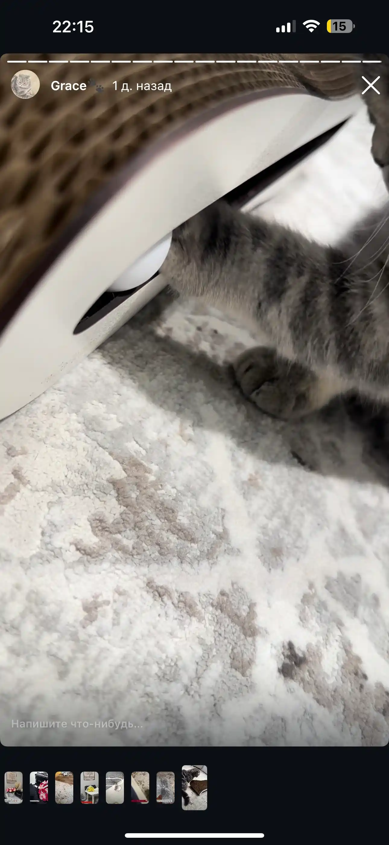 Tirnash ustuni KinderCat Saturn + koptok mushuklar uchun