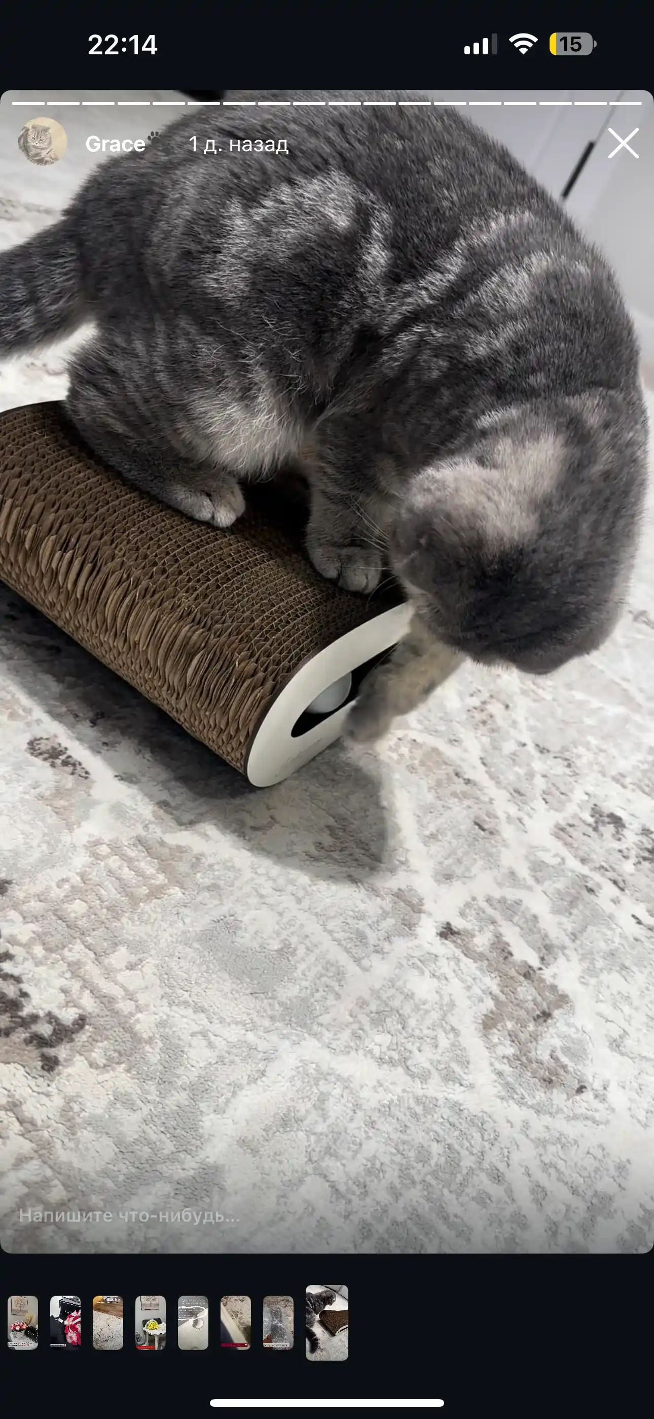 Tirnash ustuni KinderCat Saturn + koptok mushuklar uchun