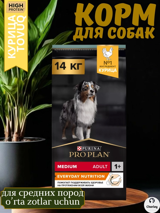 Tovuqli o‘rta zotli Pro Plan itlari uchun quruq ozuqa, tarozida tortilgan - 