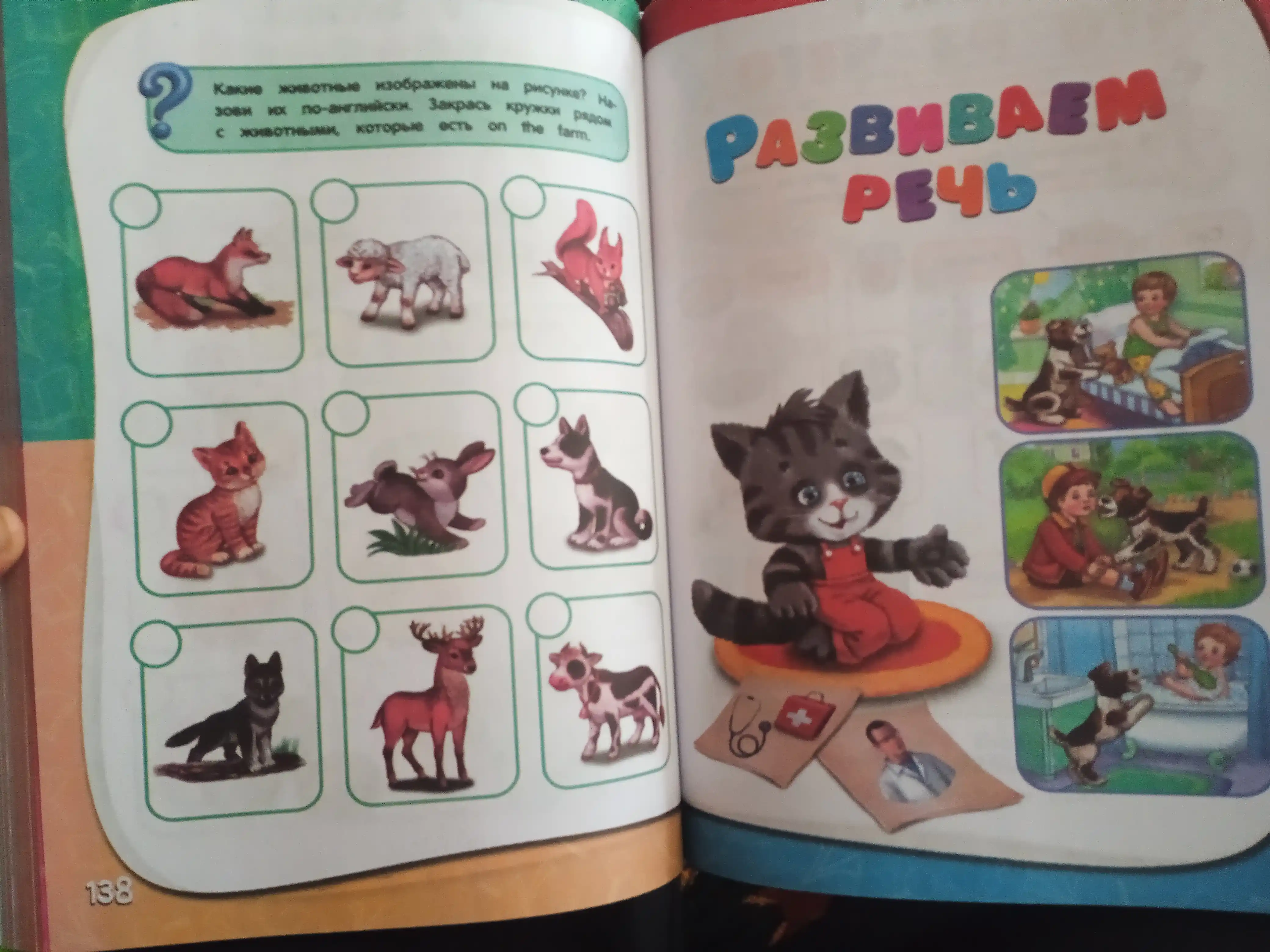 Godovoy kurs zanyatiy dlya detey, 5 - 6 yosh