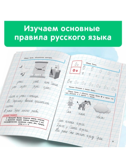 Уроки чистописания и грамотности: обучающие прописи. Жукова Н.С