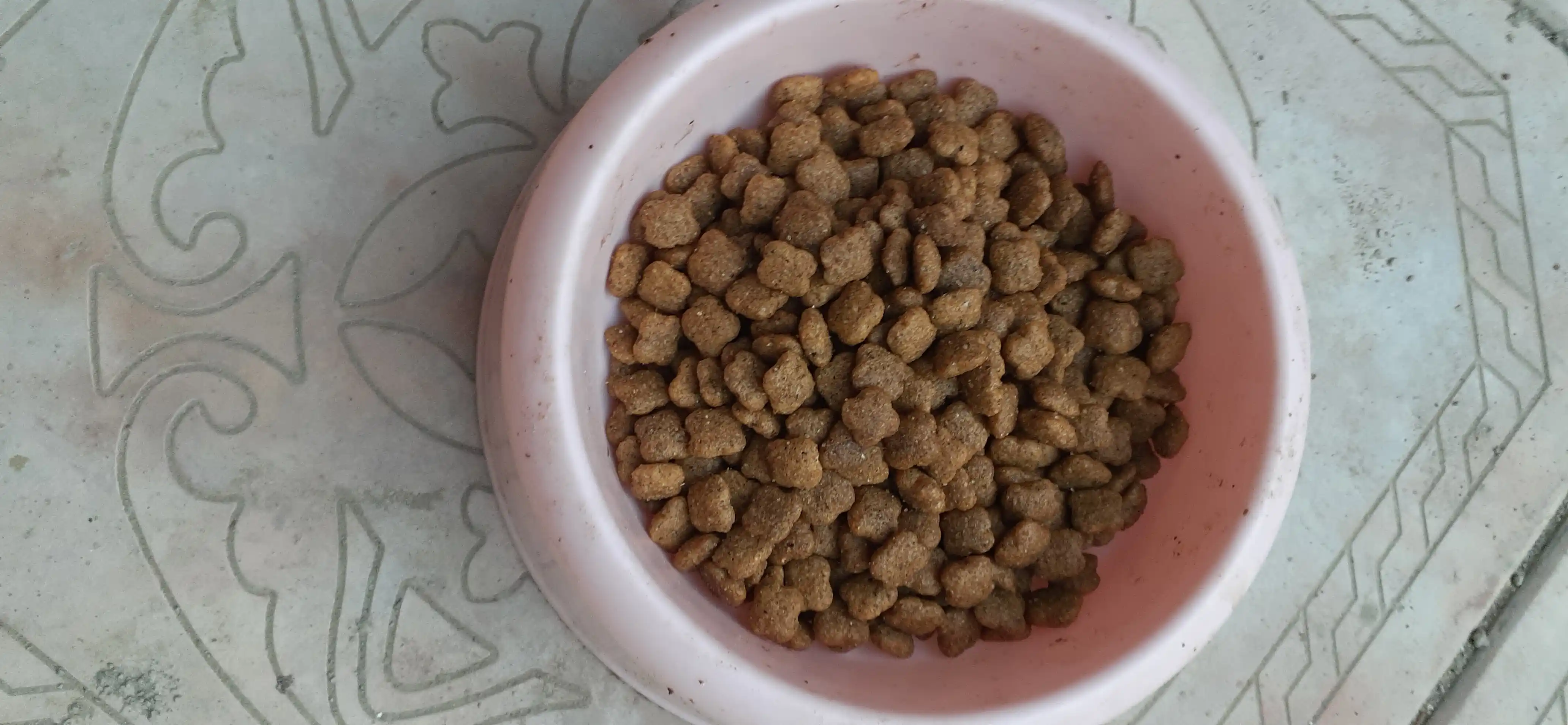 Mito mushuklar uchun quruq yem, tovuq go‘shti bilan, 1 kg
