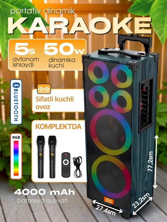 Portativ kalonkalar karaoke, Bluetooth kalonka mikrafon, masofadan boshqarish pulti
