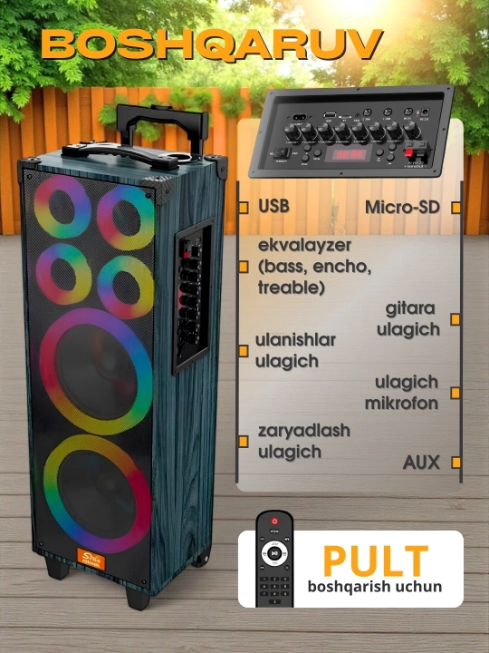 Portativ kalonkalar karaoke, Bluetooth kalonka mikrafon, masofadan boshqarish pulti