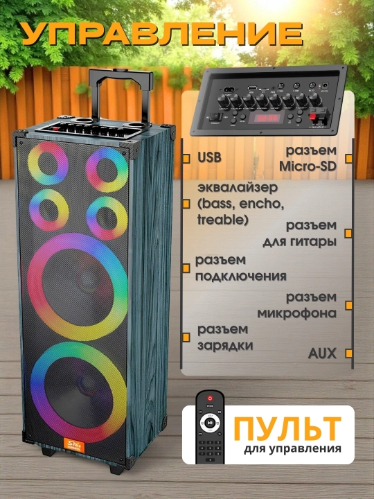 Portativ kalonkalar karaoke, Bluetooth kalonka mikrafon, masofadan boshqarish pulti
