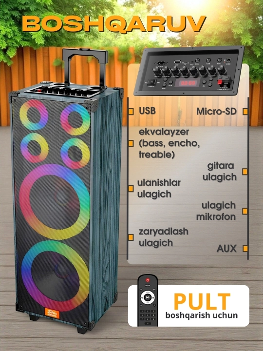 Portativ kalonkalar karaoke, Bluetooth kalonka mikrafon, masofadan boshqarish pulti